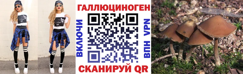 Псилоцибиновые грибы MAGIC MUSHROOMS  Сортавала 